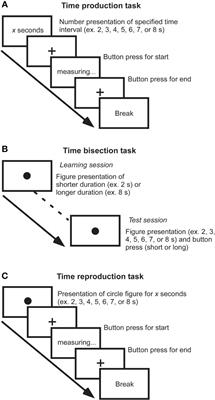 Modulation of time in Parkinson’s disease: a review and perspective on cognitive rehabilitation